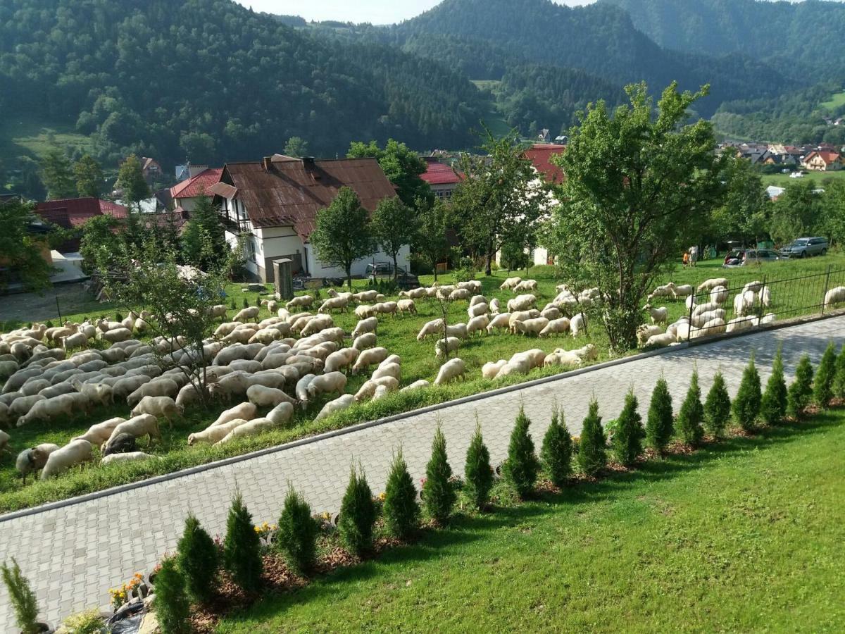 Pokoje U Celinki Szczawnica Exterior foto